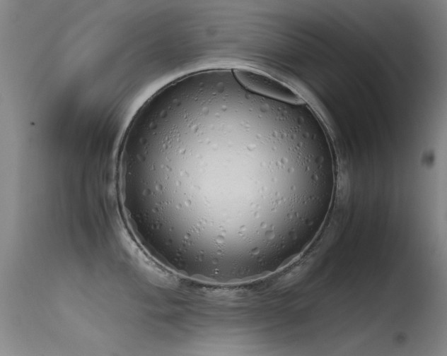 X0000115621004200911101411