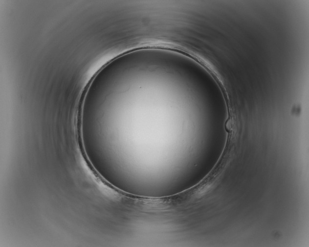 X0000115621007200911101411