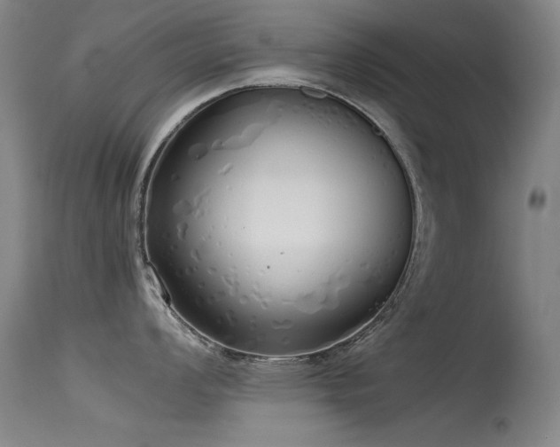 X0000115621008200911101411