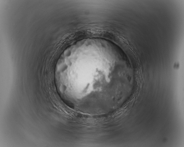 X0000115621009200911101410