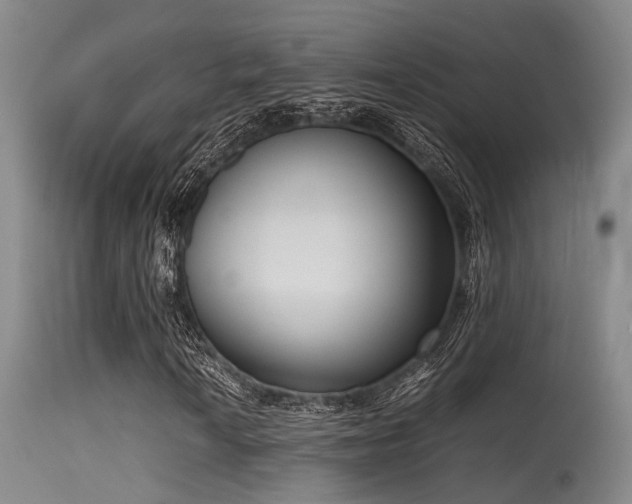 X0000115621010200911101410