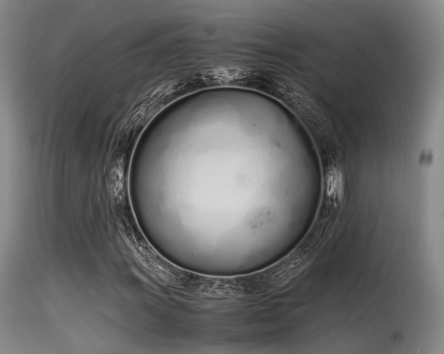 X0000115621011200911101410