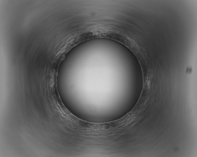 X0000115621012200911101410