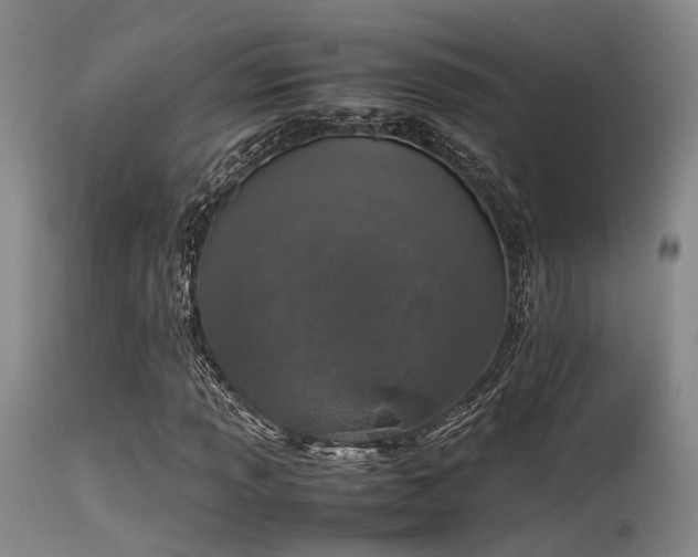 X0000115621013200911101410