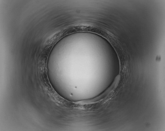 X0000115621014200911101410