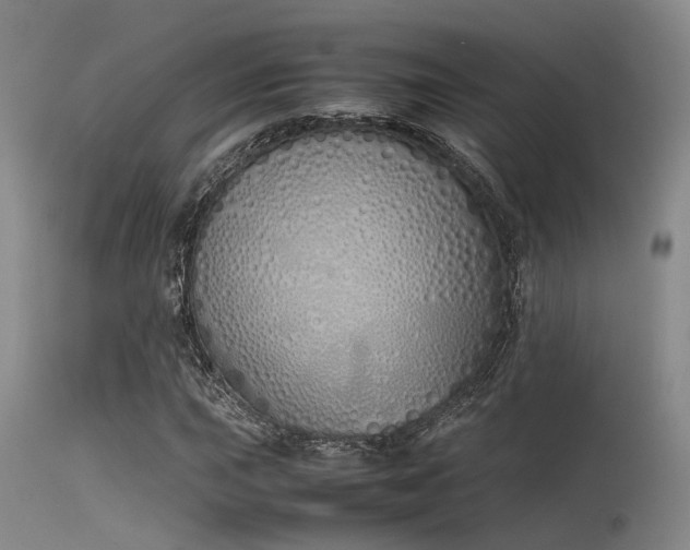 X0000115621015200911101410