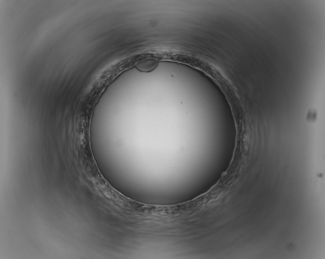 X0000115621016200911101410