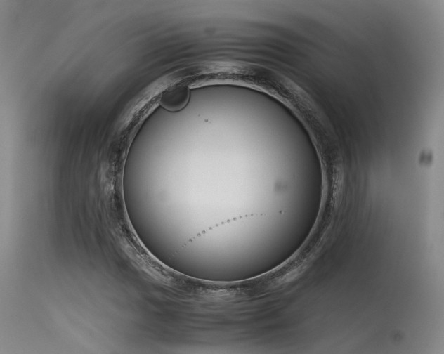 X0000115621017200911101410