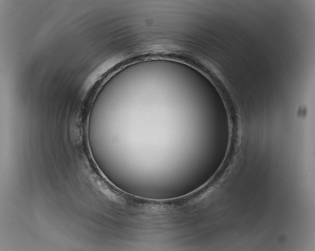 X0000115621018200911101410