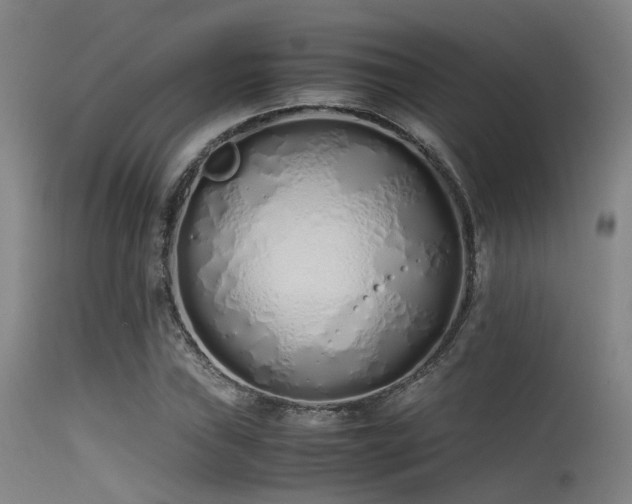 X0000115621019200911101410