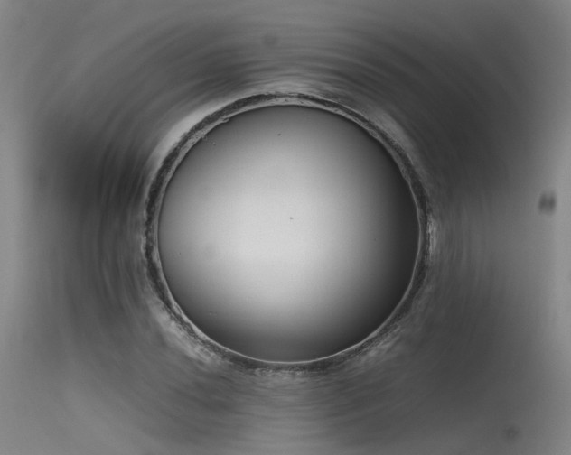 X0000115621020200911101410