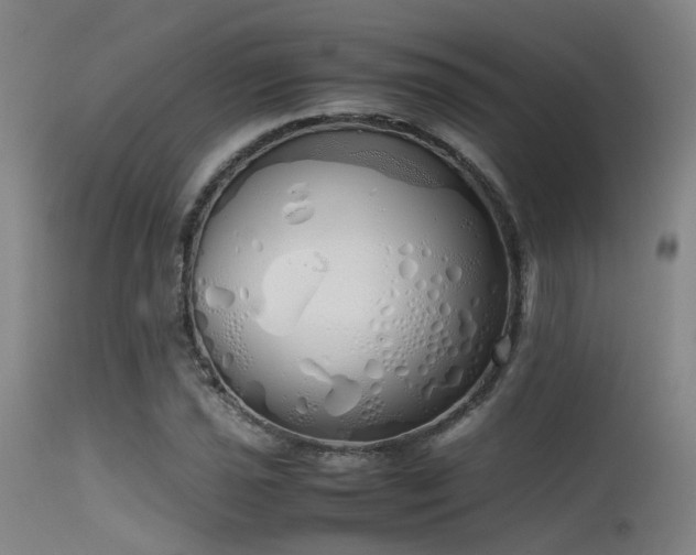 X0000115621021200911101410