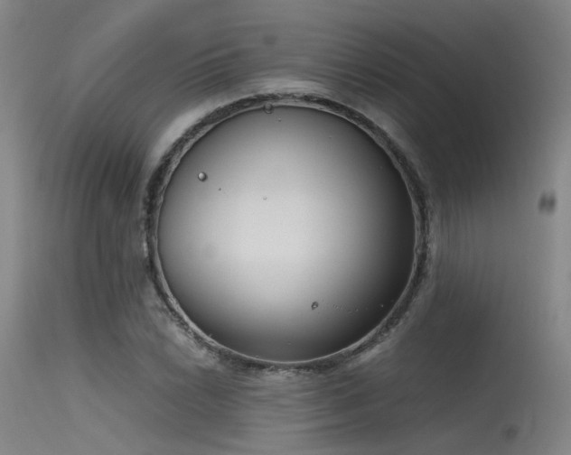 X0000115621022200911101410