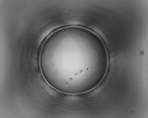 X0000115621023200911101410