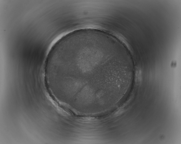 X0000115621024200911101410