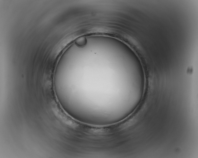 X0000115621025200911101410