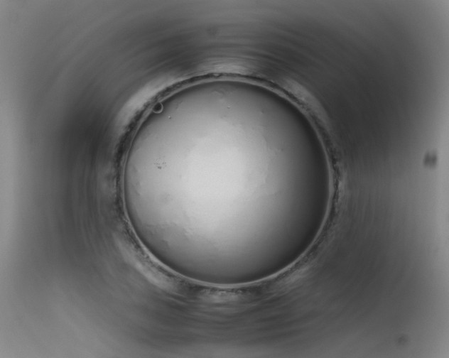 X0000115621027200911101410