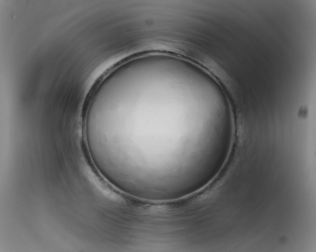 X0000115621028200911101410