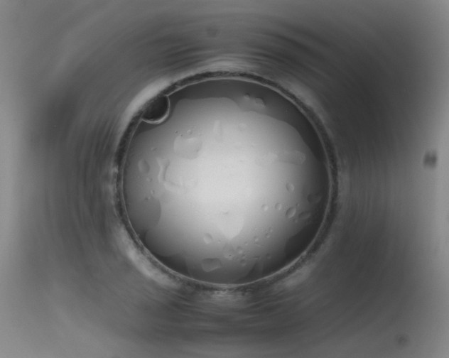 X0000115621029200911101411