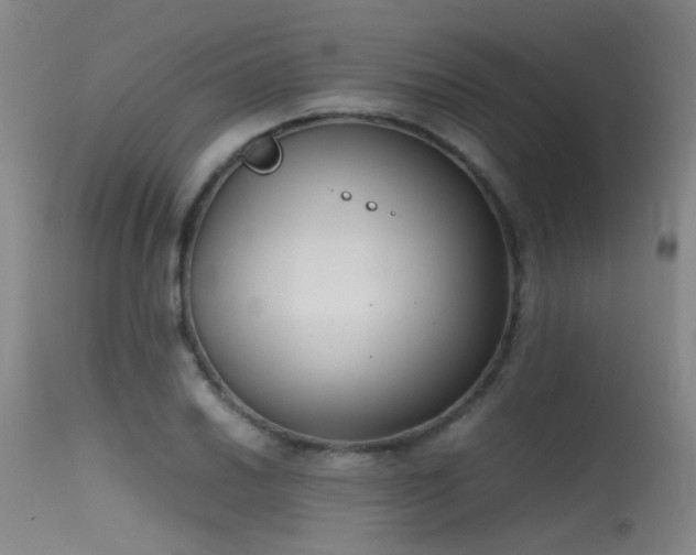 X0000115621030200911101411