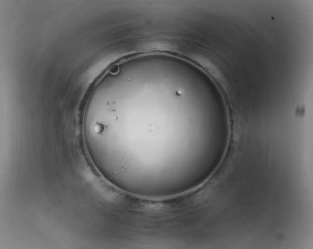 X0000115621031200911101411