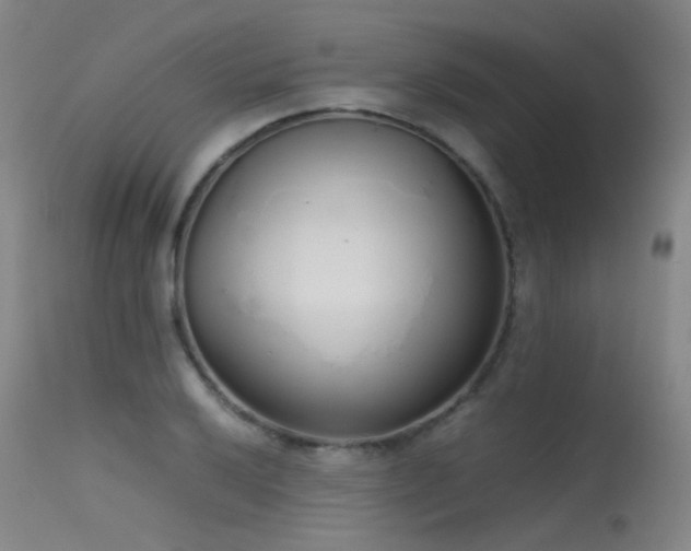 X0000115621032200911101411