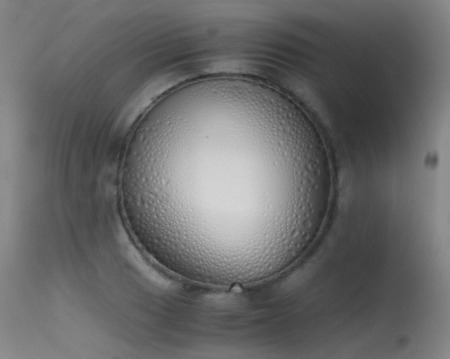 X0000115621033200911101411