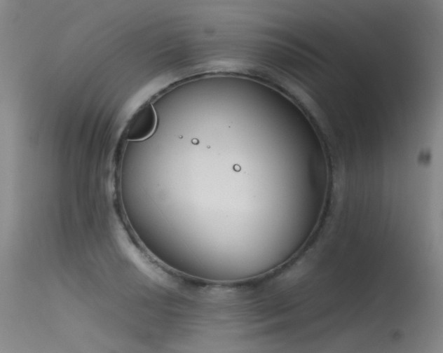 X0000115621034200911101411