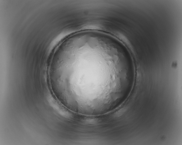 X0000115621035200911101411