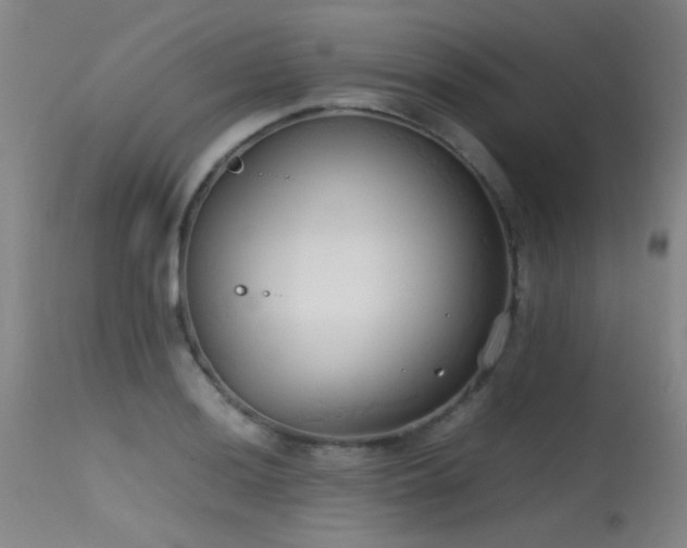 X0000115621036200911101411