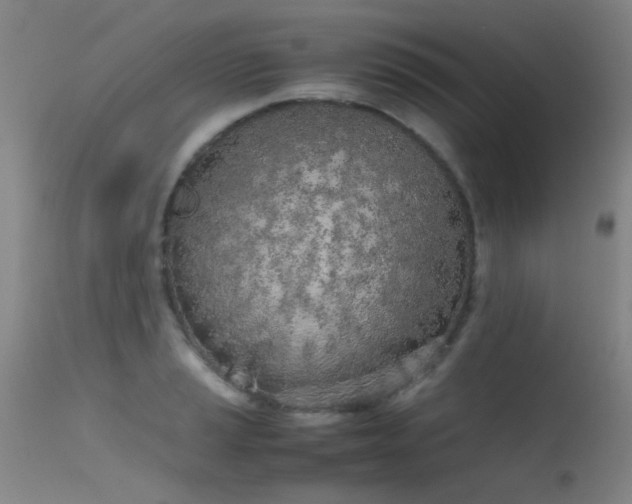 X0000115621037200911101411