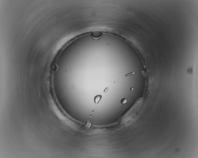 X0000115621038200911101411