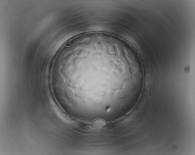 X0000115621039200911101411