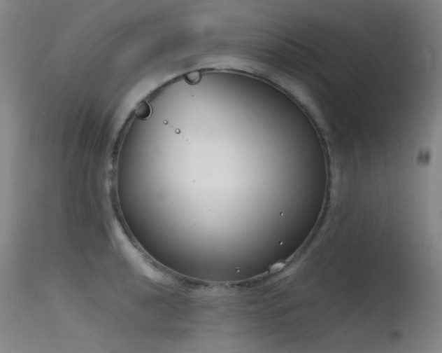 X0000115621040200911101411