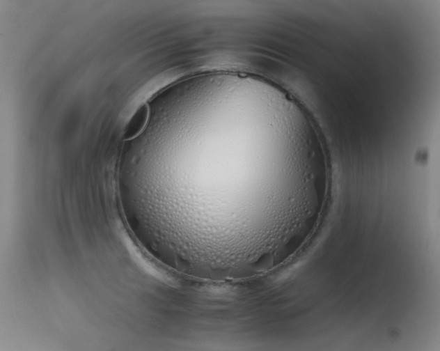 X0000115621041200911101411