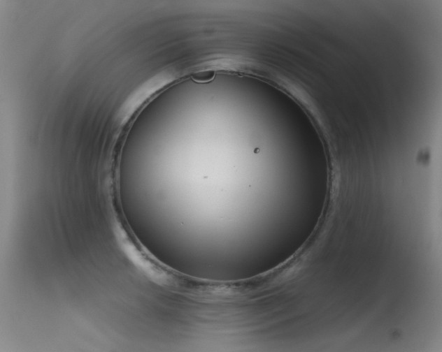 X0000115621042200911101411