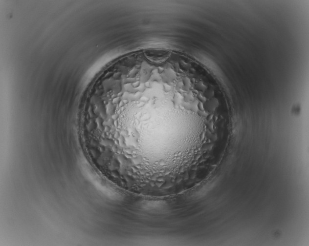 X0000115621043200911101411