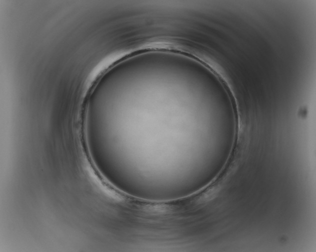 X0000115621045200911101411