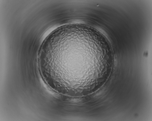 X0000115621047200911101411