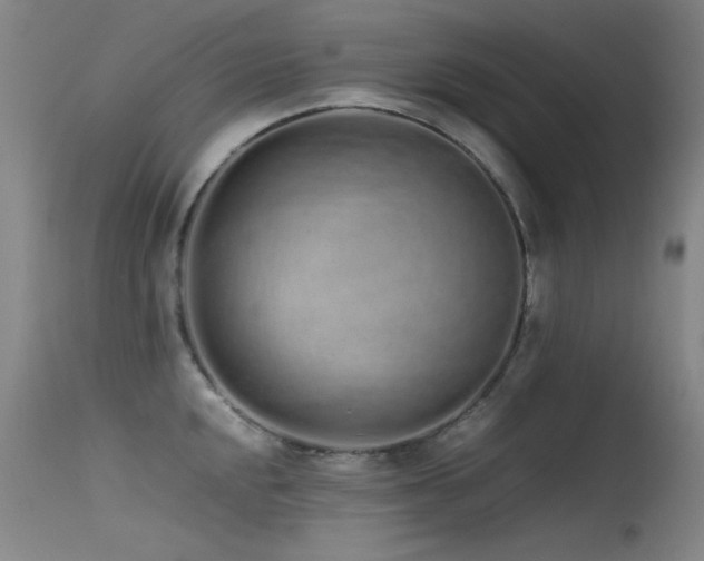 X0000115621048200911101411