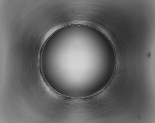 X0000115621050200911101411