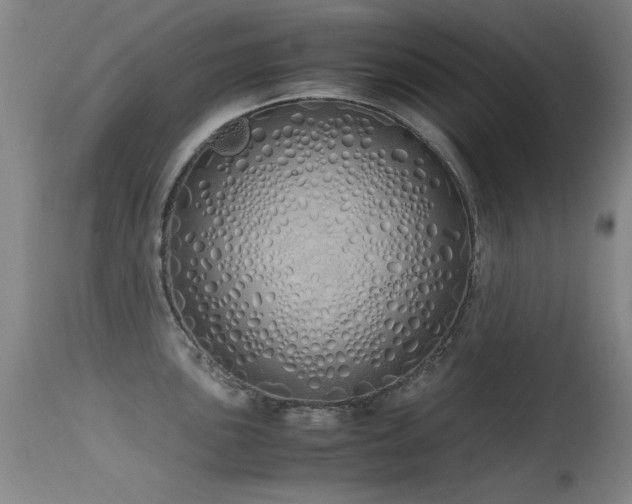 X0000115621051200911101411