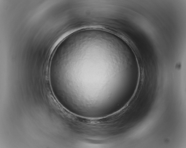 X0000115621052200911101411