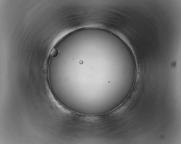 X0000115621053200911101411