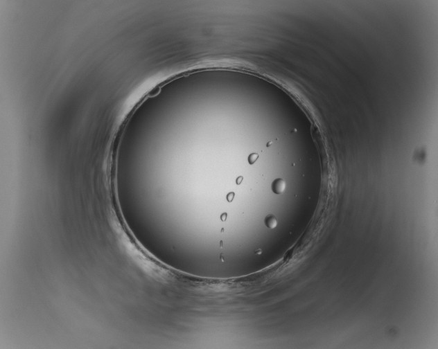 X0000115621054200911101411