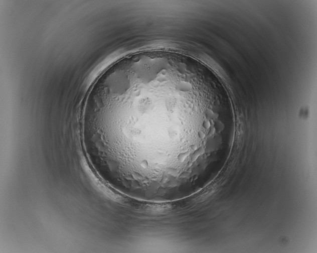 X0000115621055200911101411