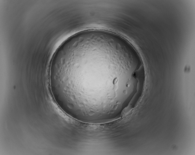 X0000115621056200911101411