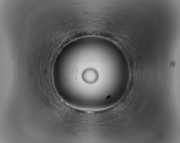 X0000115621057200911101410