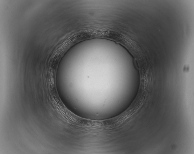 X0000115621058200911101410