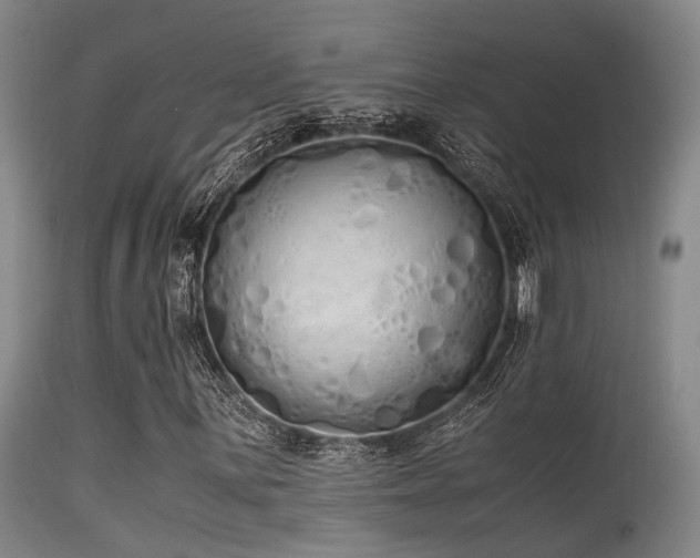 X0000115621059200911101410